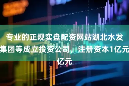 专业的正规实盘配资网站湖北水发集团等成立投资公司，注册资本1亿元