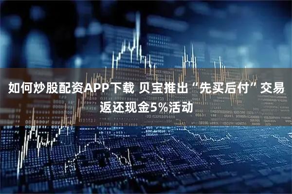 如何炒股配资APP下载 贝宝推出“先买后付”交易返还现金5%活动