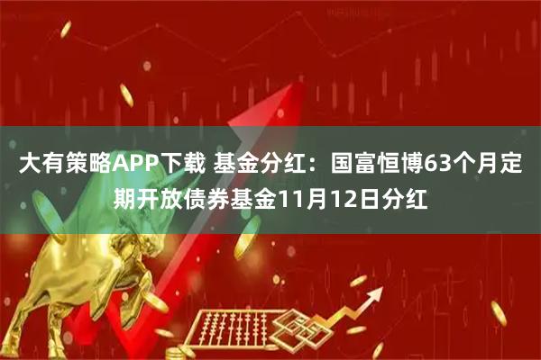 大有策略APP下载 基金分红：国富恒博63个月定期开放债券基金11月12日分红