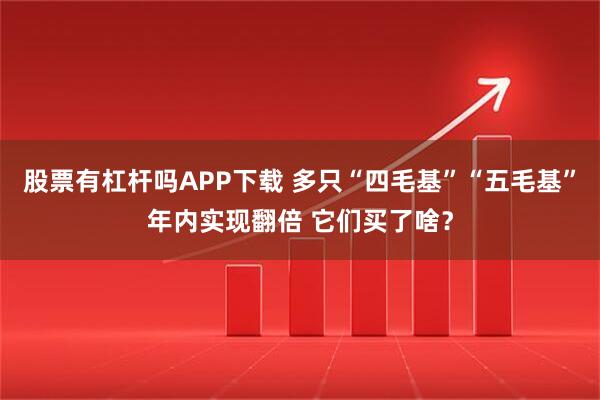 股票有杠杆吗APP下载 多只“四毛基”“五毛基”年内实现翻倍 它们买了啥？
